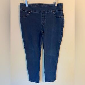 Perfect Stretch by Chico’s Pull On Skinny Jeans | Sz 0.5